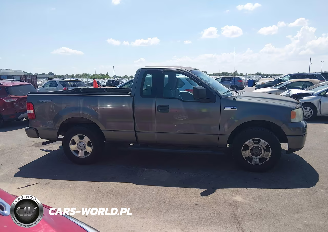 2006 Ford F-150 Stx-Xl-Xlt VIN:1FTRF12286NB42943 - 13