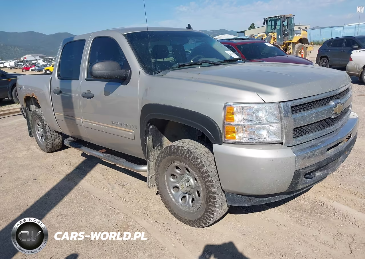 2009 Chevrolet Silverado 1500 Ls-Work Truck