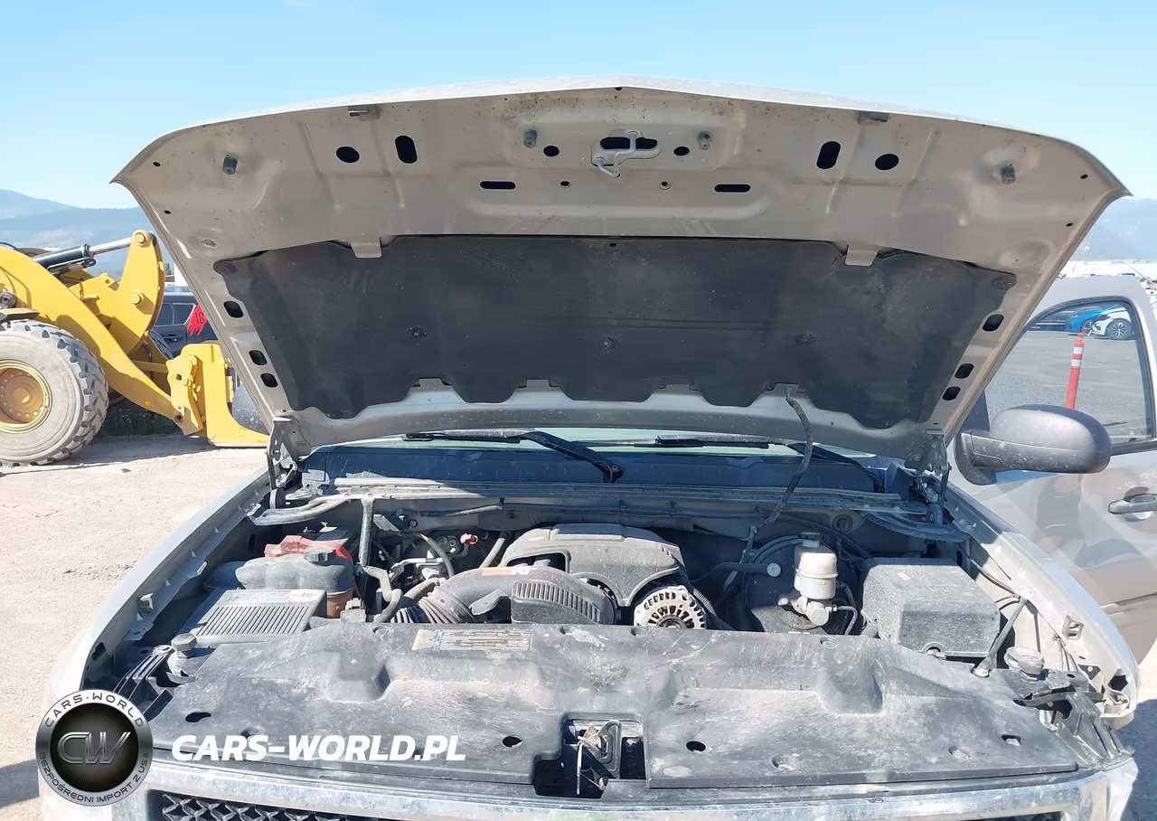 2009 Chevrolet Silverado 1500 Ls-Work Truck VIN:3GCEK13C89G232060 - 10