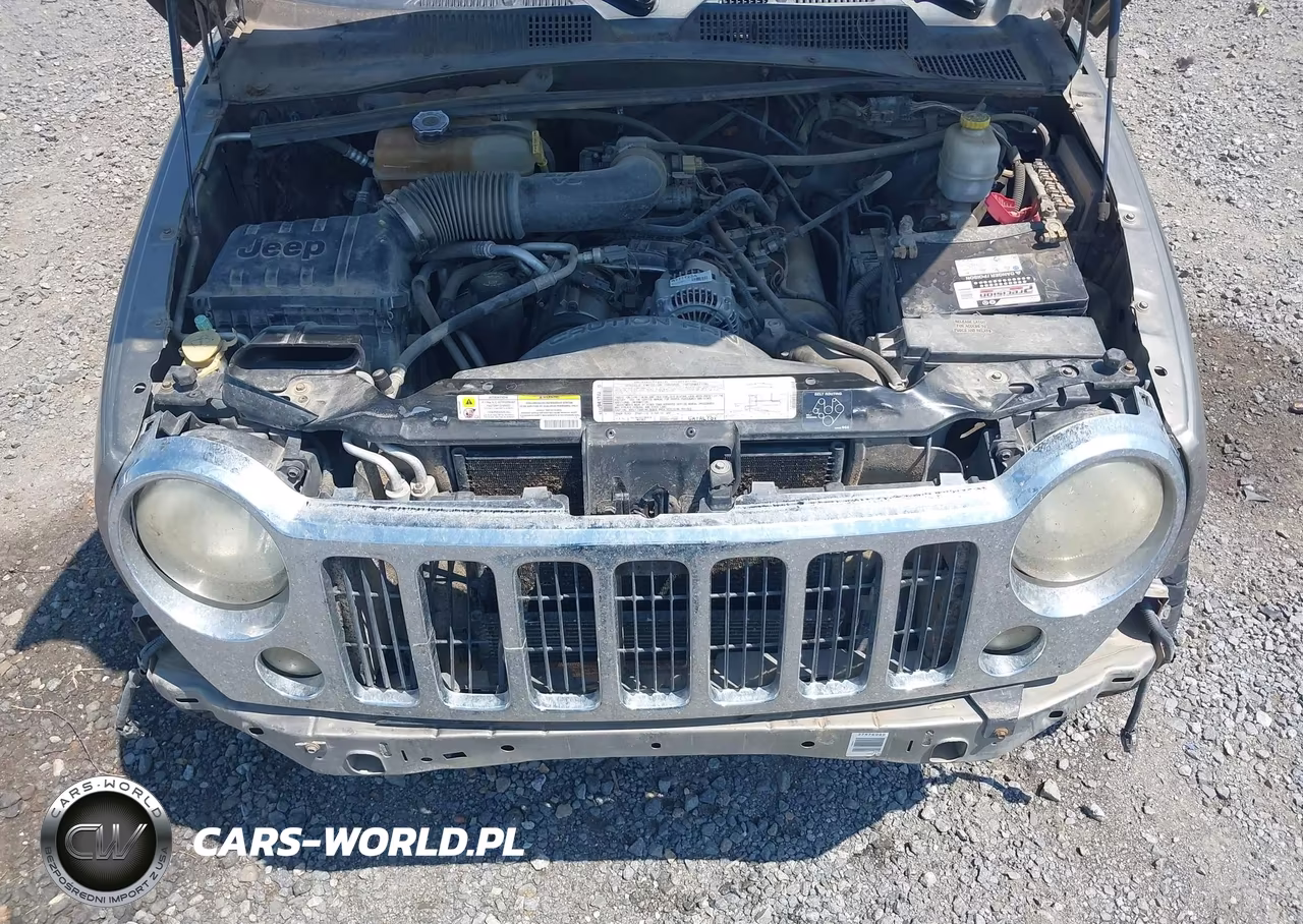 2006 Jeep Liberty Limited Edition VIN:1J4GL58K36W196539 - 10