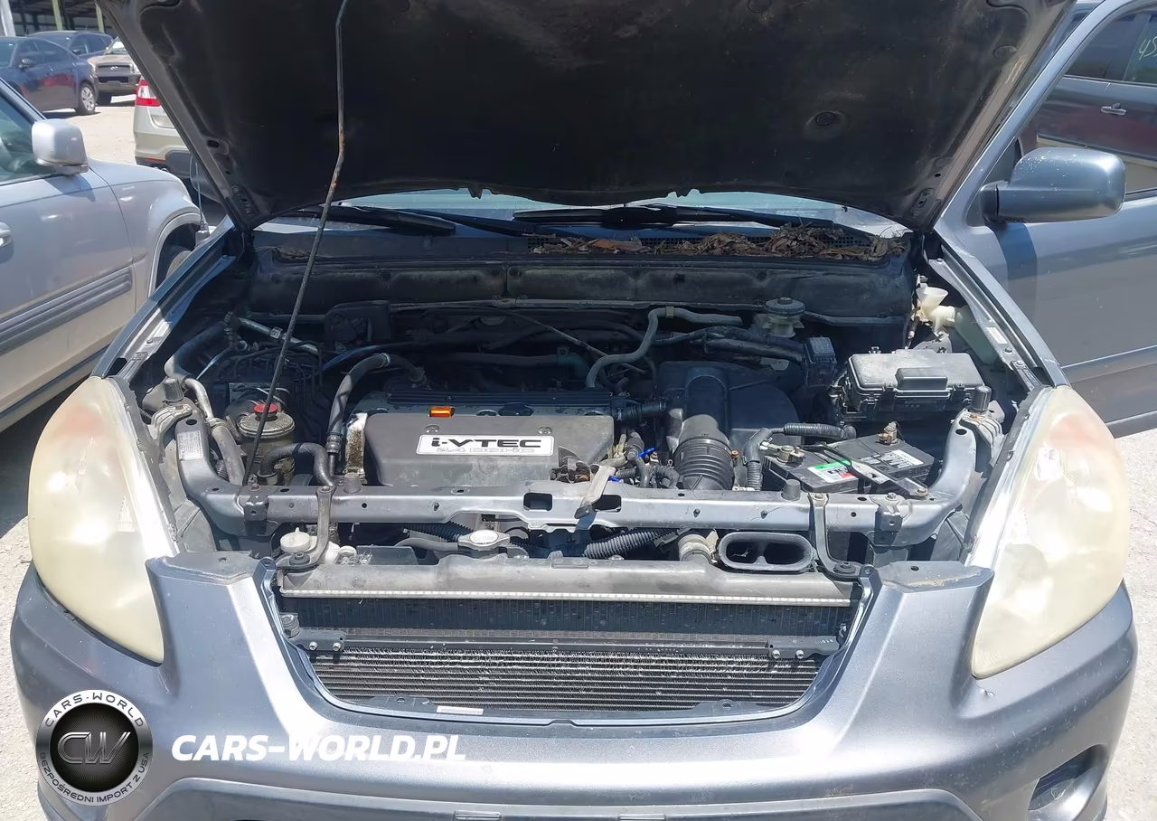 2006 Honda Cr-V Se VIN:JHLRD78916C012241 - 10