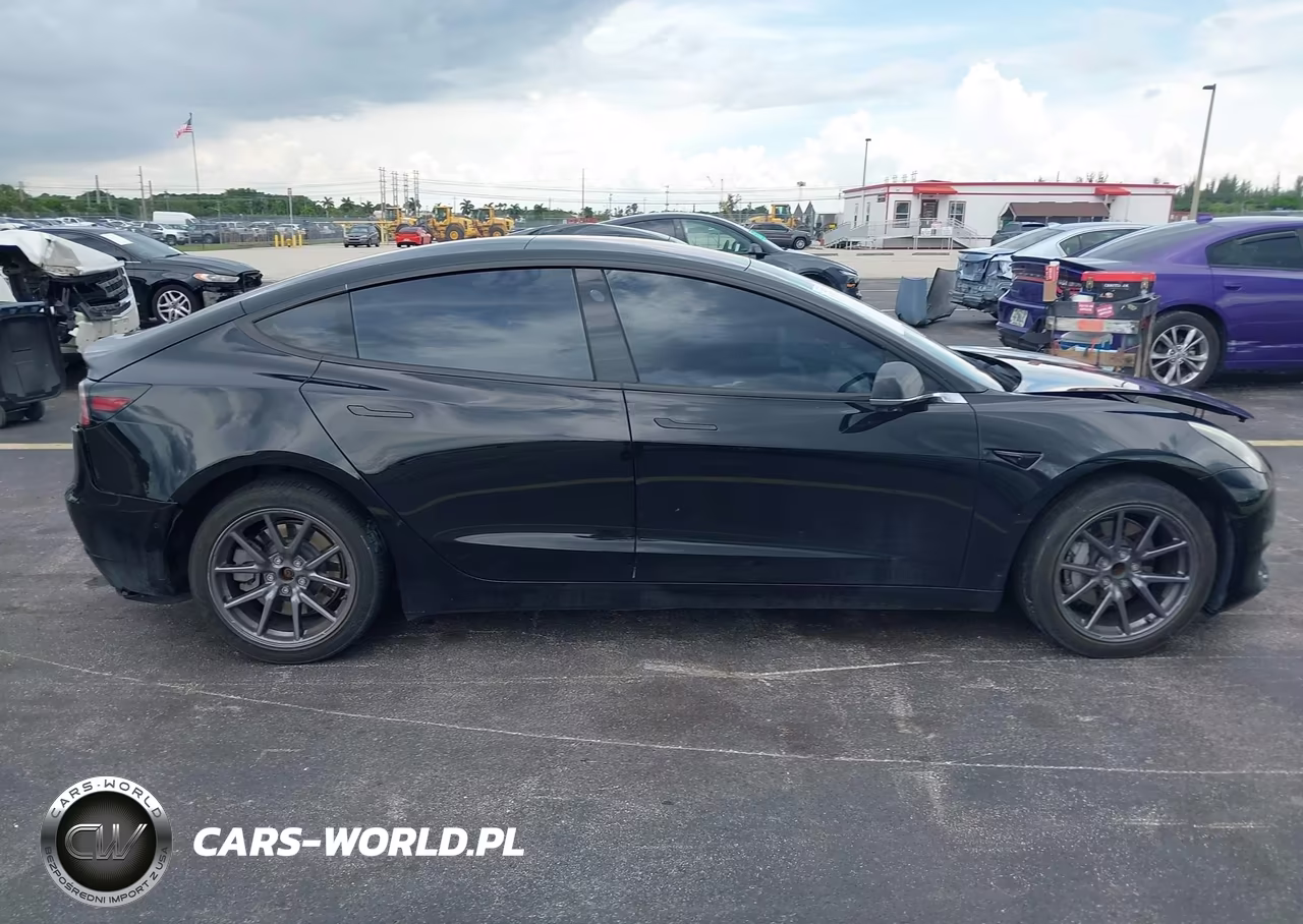 2019 Tesla Model 3 Long Range-Mid Range-Standard Range-Standard Range Plus VIN:5YJ3E1EA2KF192936 - 12