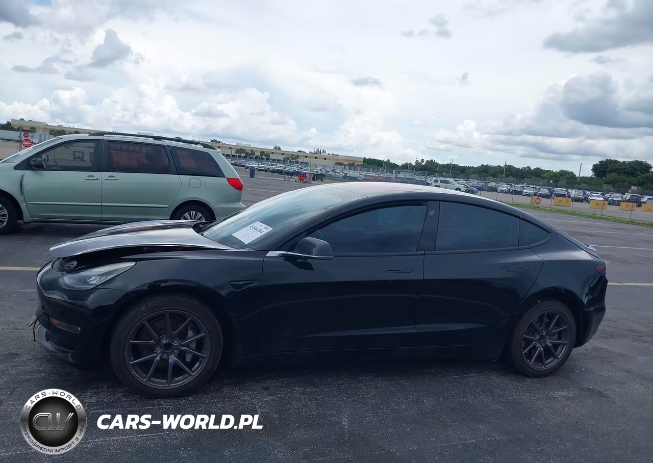2019 Tesla Model 3 Long Range-Mid Range-Standard Range-Standard Range Plus VIN:5YJ3E1EA2KF192936 - 13