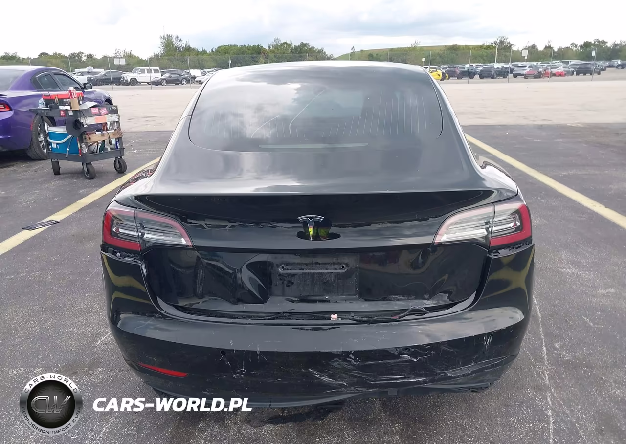 2019 Tesla Model 3 Long Range-Mid Range-Standard Range-Standard Range Plus VIN:5YJ3E1EA2KF192936 - 6