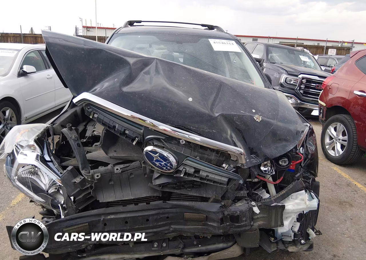 2016 Subaru Forester 2.0Xt Premium VIN:JF2SJGDC1GH490285 - 13