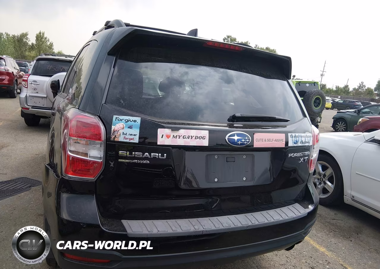 2016 Subaru Forester 2.0Xt Premium VIN:JF2SJGDC1GH490285 - 17