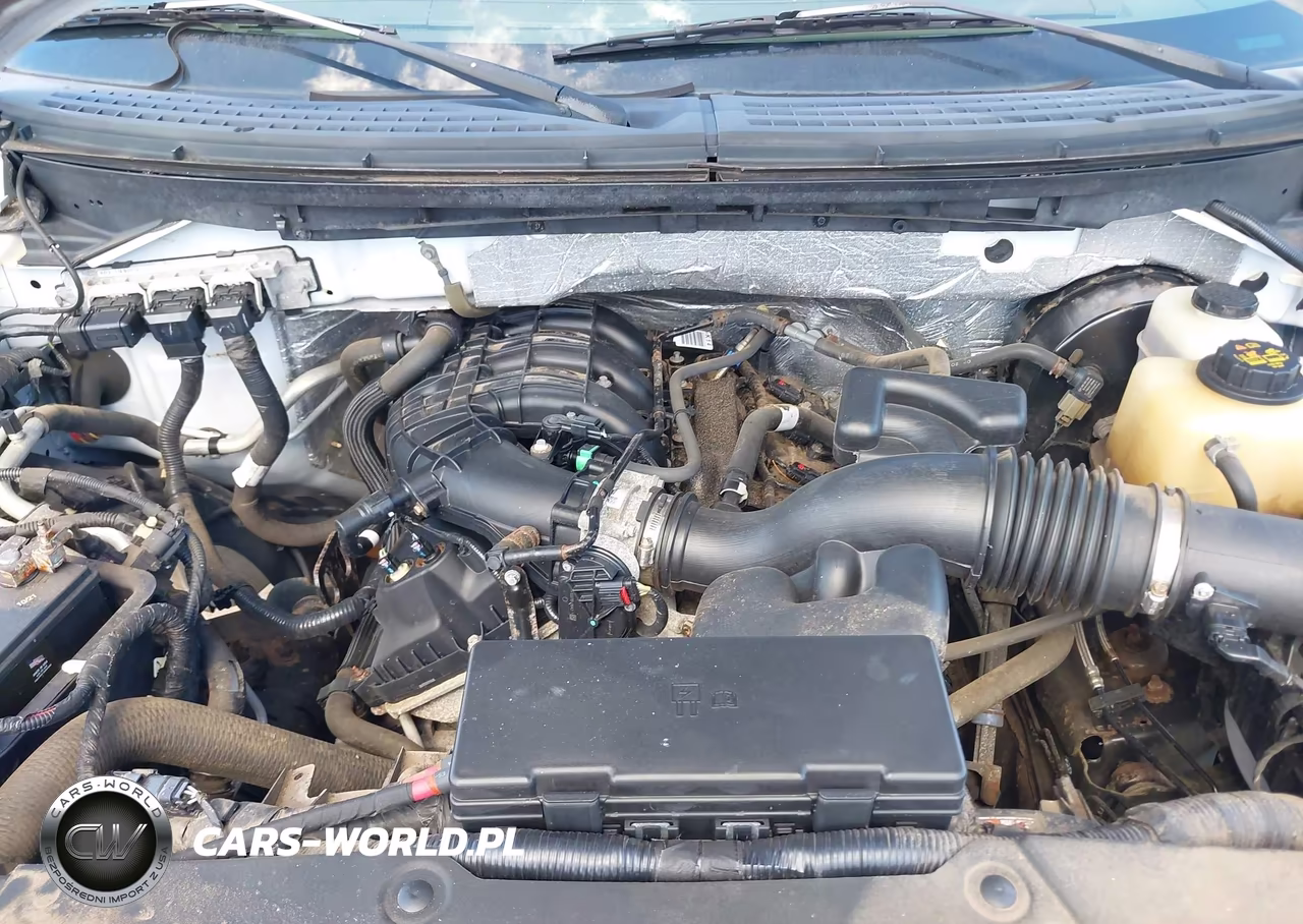 2012 Ford F-150 Stx-Xl-Xlt VIN:1FTMF1CM8CKD62252 - 10