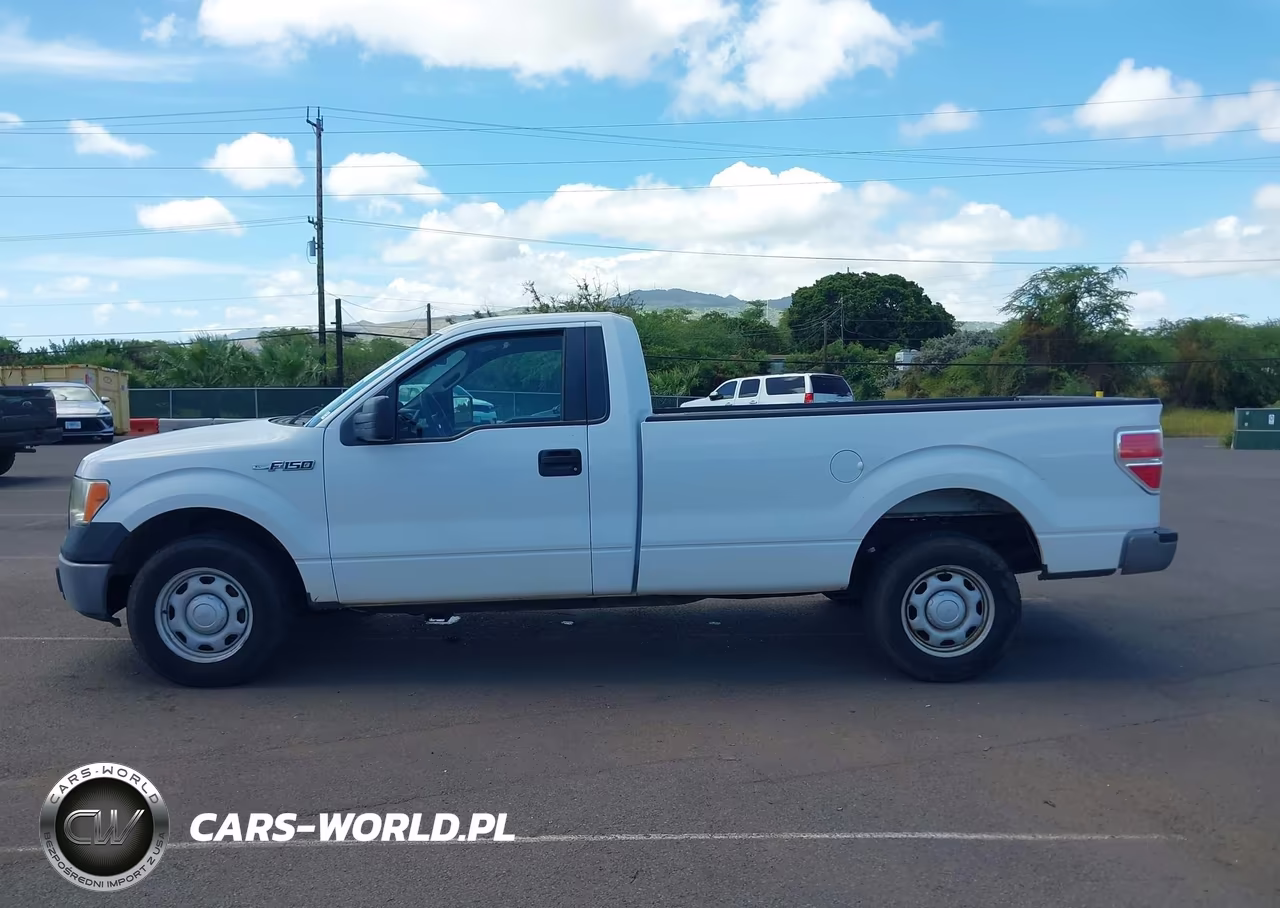 2012 Ford F-150 Stx-Xl-Xlt VIN:1FTMF1CM8CKD62252 - 18