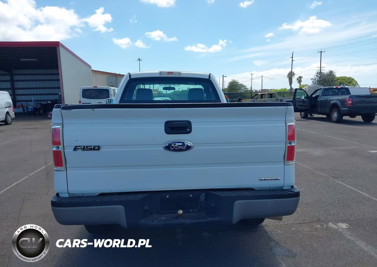 2012 Ford F-150 Stx-Xl-Xlt VIN:1FTMF1CM8CKD62252 - 20
