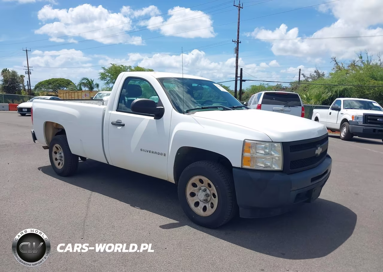 2009 Chevrolet Silverado 1500 Work Truck – zdjęcie 1 z 21