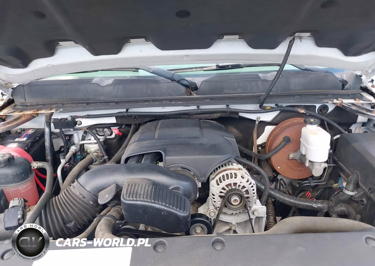 2009 Chevrolet Silverado 1500 Work Truck VIN:1GCEC14029Z185903 - 10