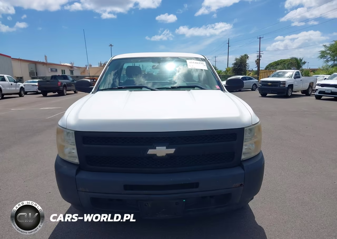 2009 Chevrolet Silverado 1500 Work Truck VIN:1GCEC14029Z185903 - 17