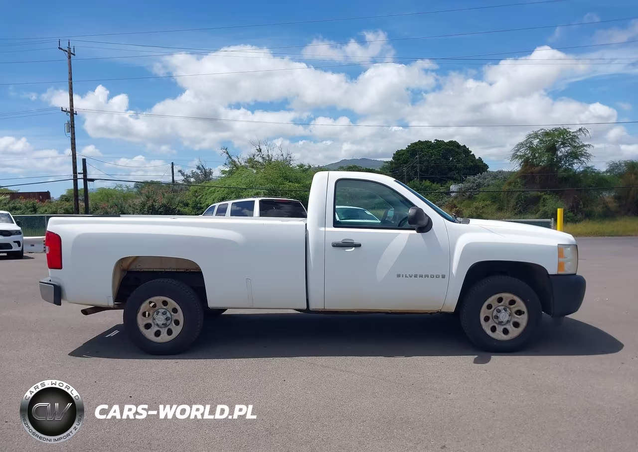 2009 Chevrolet Silverado 1500 Work Truck VIN:1GCEC14029Z185903 - 18