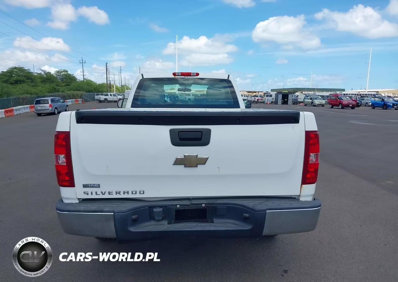 2009 Chevrolet Silverado 1500 Work Truck VIN:1GCEC14029Z185903 - 21