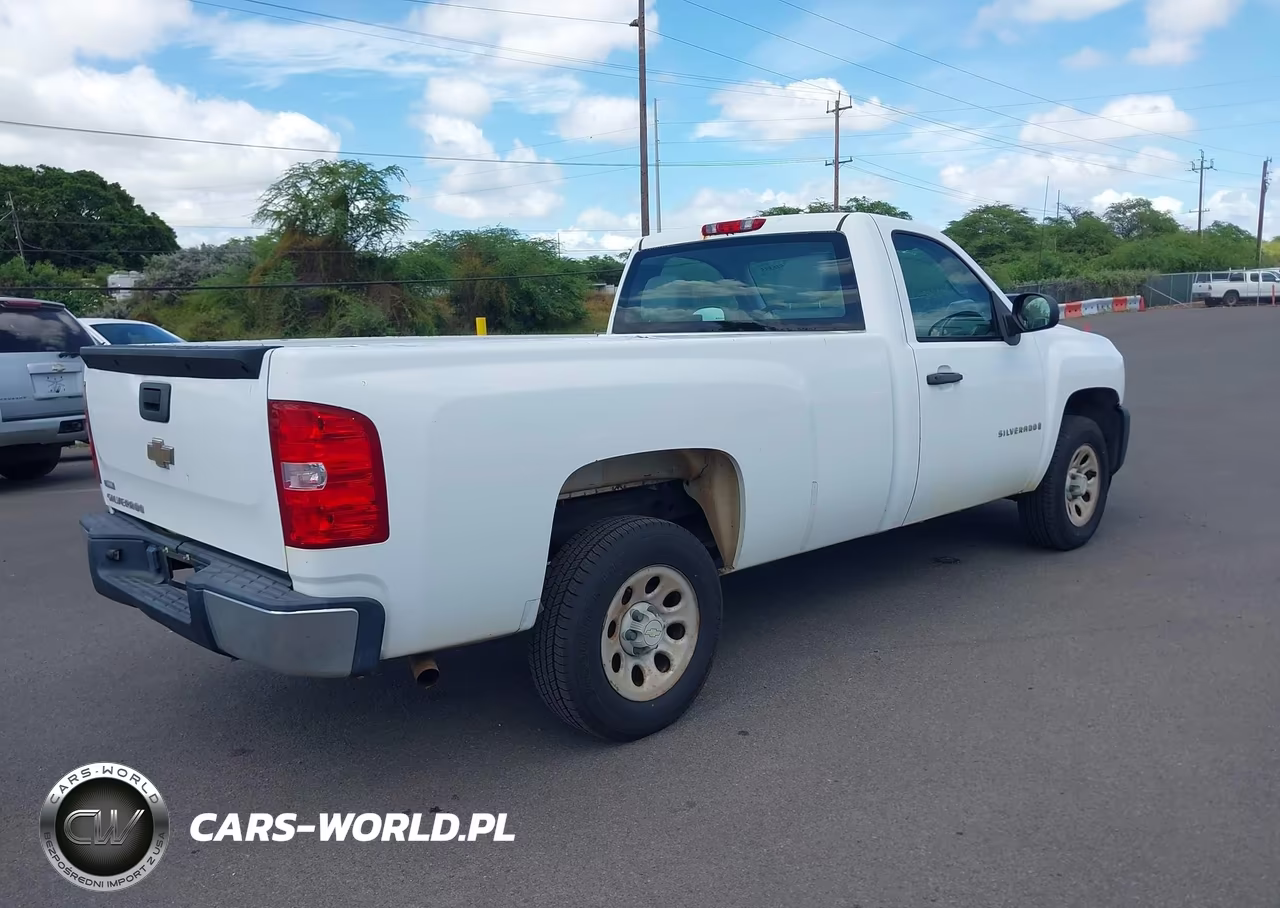 2009 Chevrolet Silverado 1500 Work Truck VIN:1GCEC14029Z185903 - 4