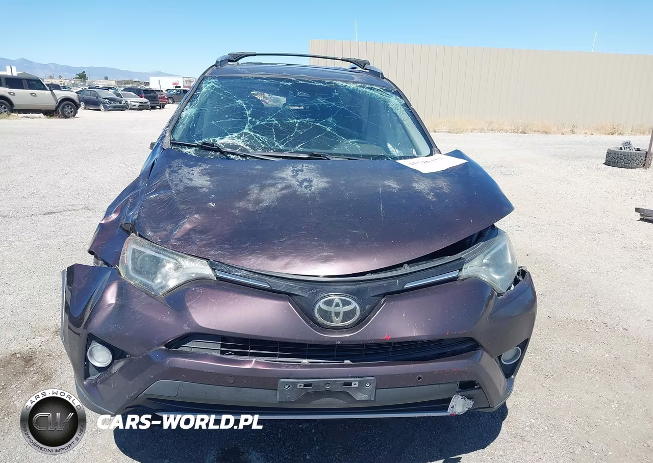 2016 Toyota Rav4 Xle VIN:2T3WFREV3GW266281 - 13