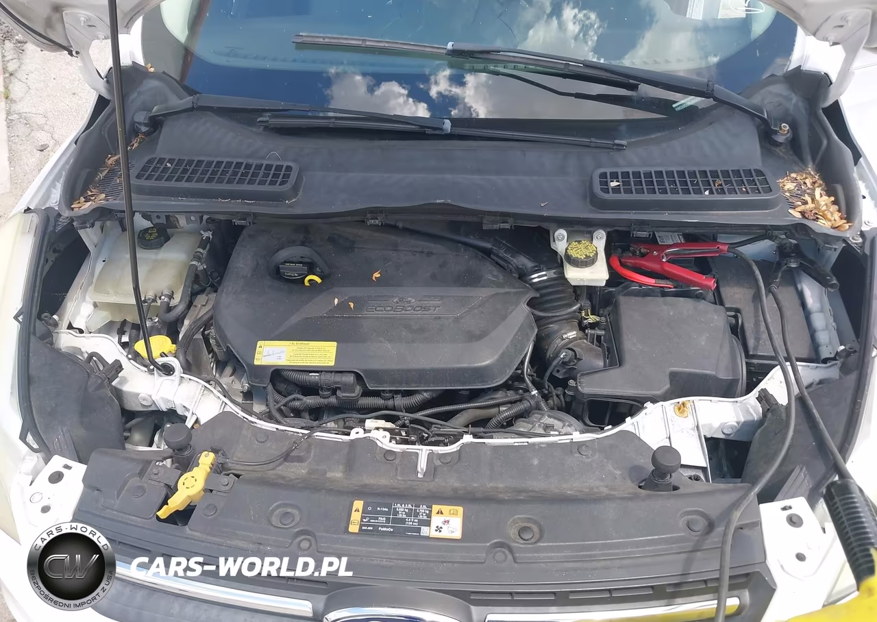 2014 Ford Escape Se VIN:1FMCU0GX8EUB55637 - 10