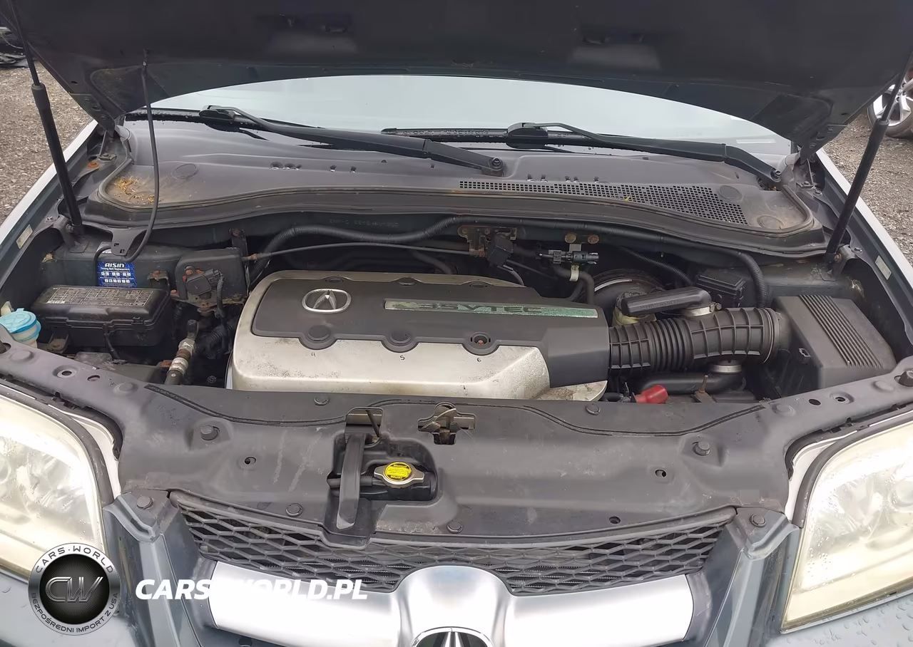 2005 Acura Mdx VIN:2HNYD18295H509357 - 10