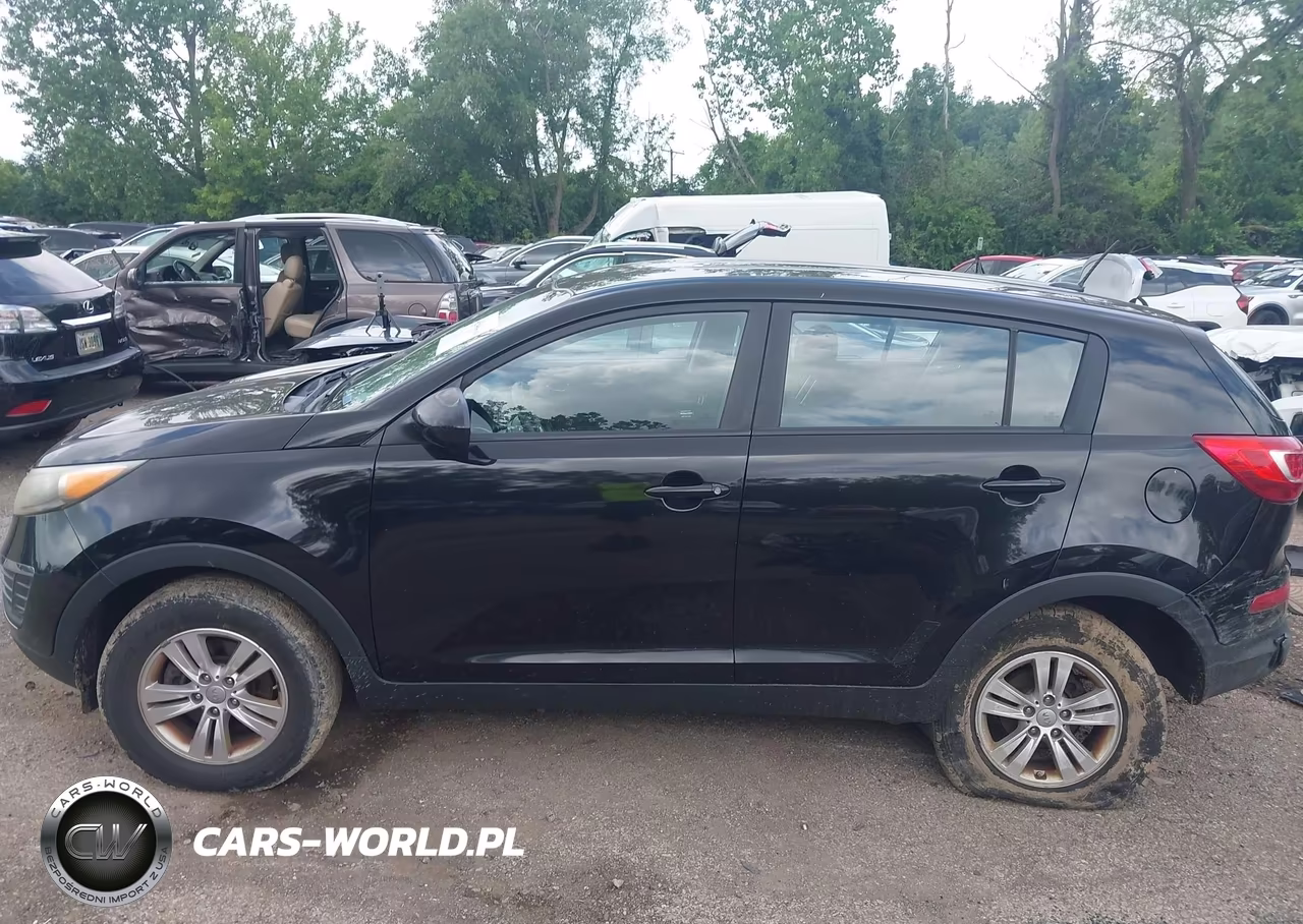 2012 Kia Sportage Lx VIN:KNDPB3A29C7320343 - 14