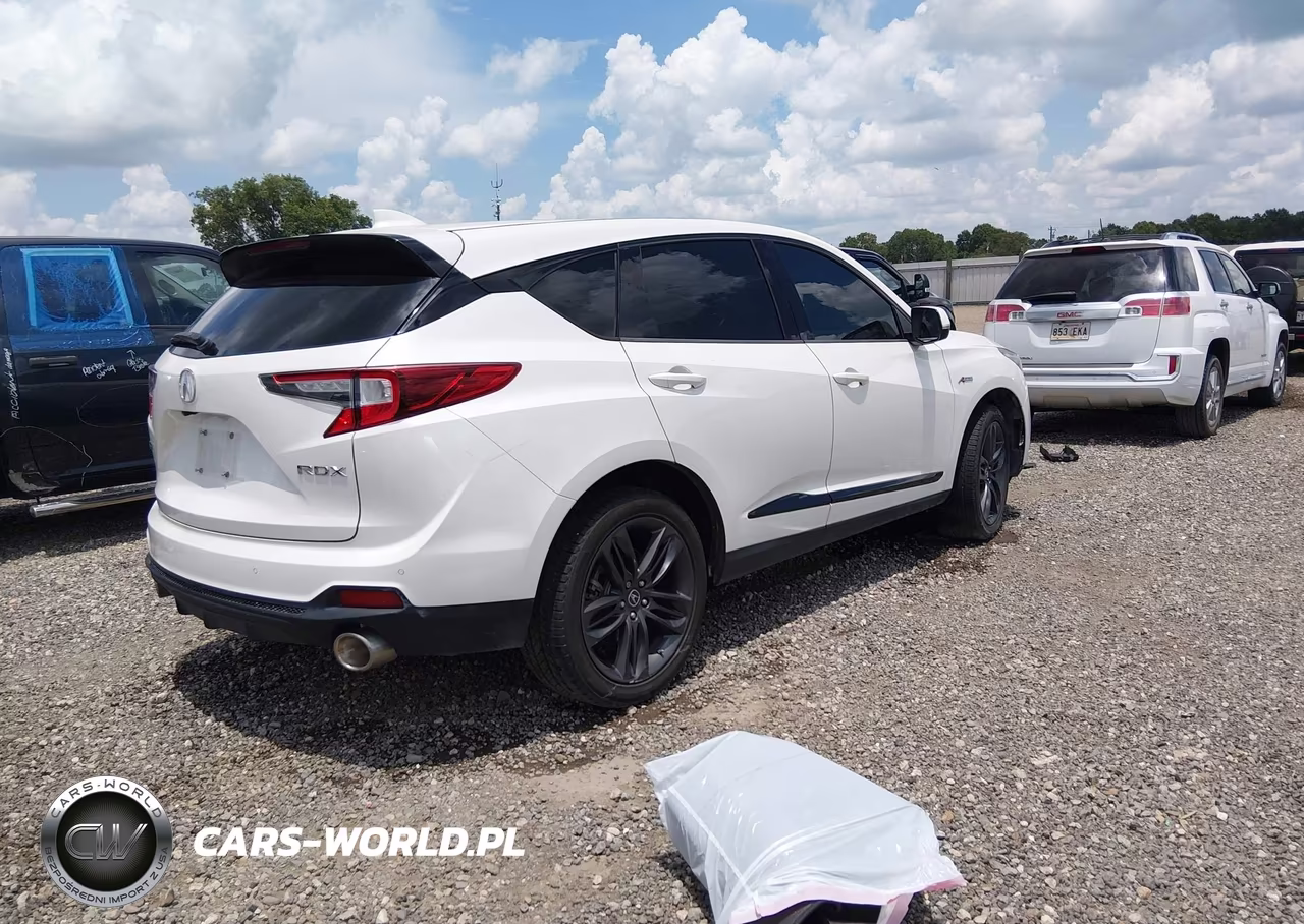 2019 Acura Rdx A-Spec Package VIN:5J8TC1H67KL024429 - 4