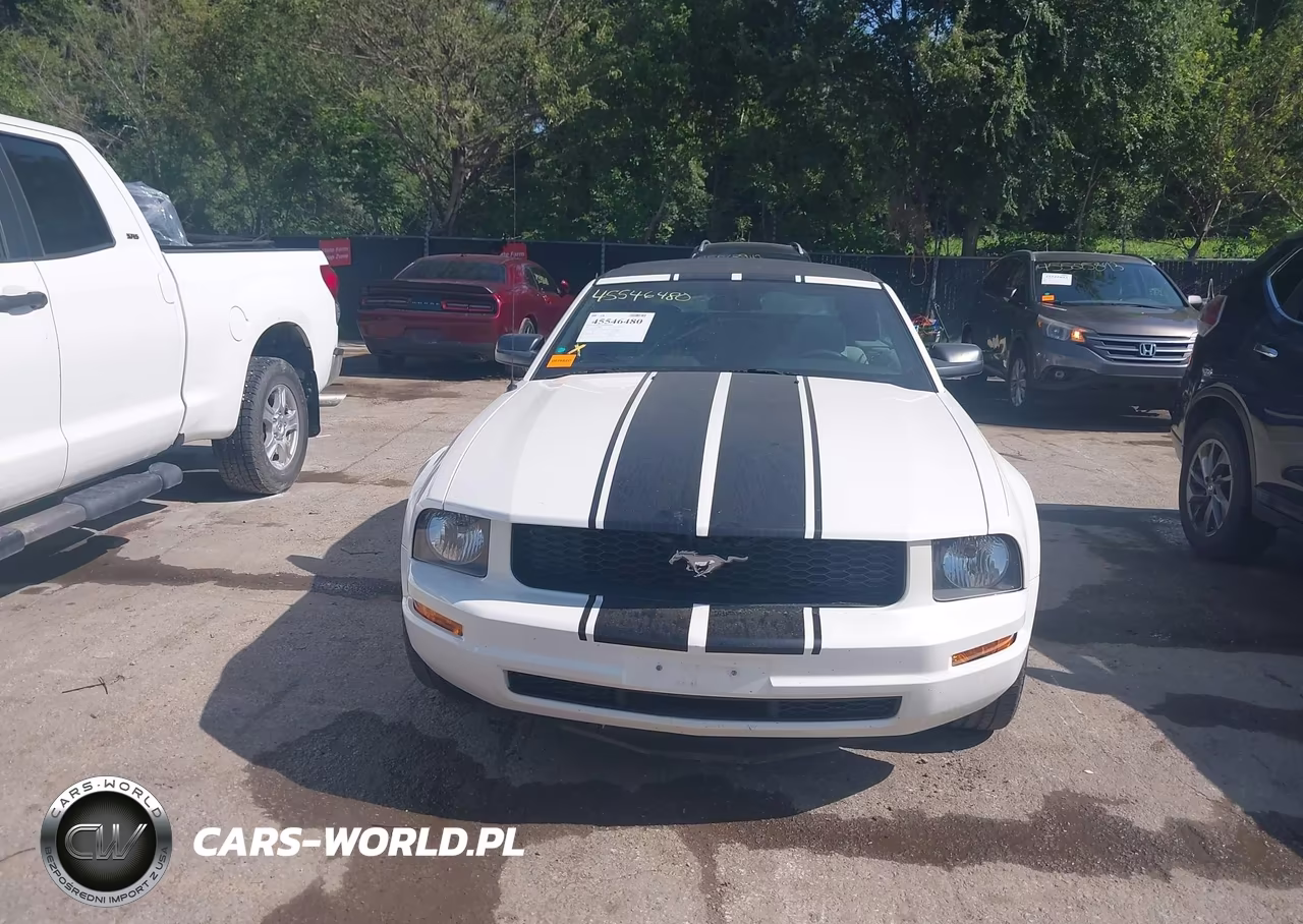 2007 Ford Mustang V6 Deluxe-V6 Premium VIN:1ZVFT84N175361379 - 13