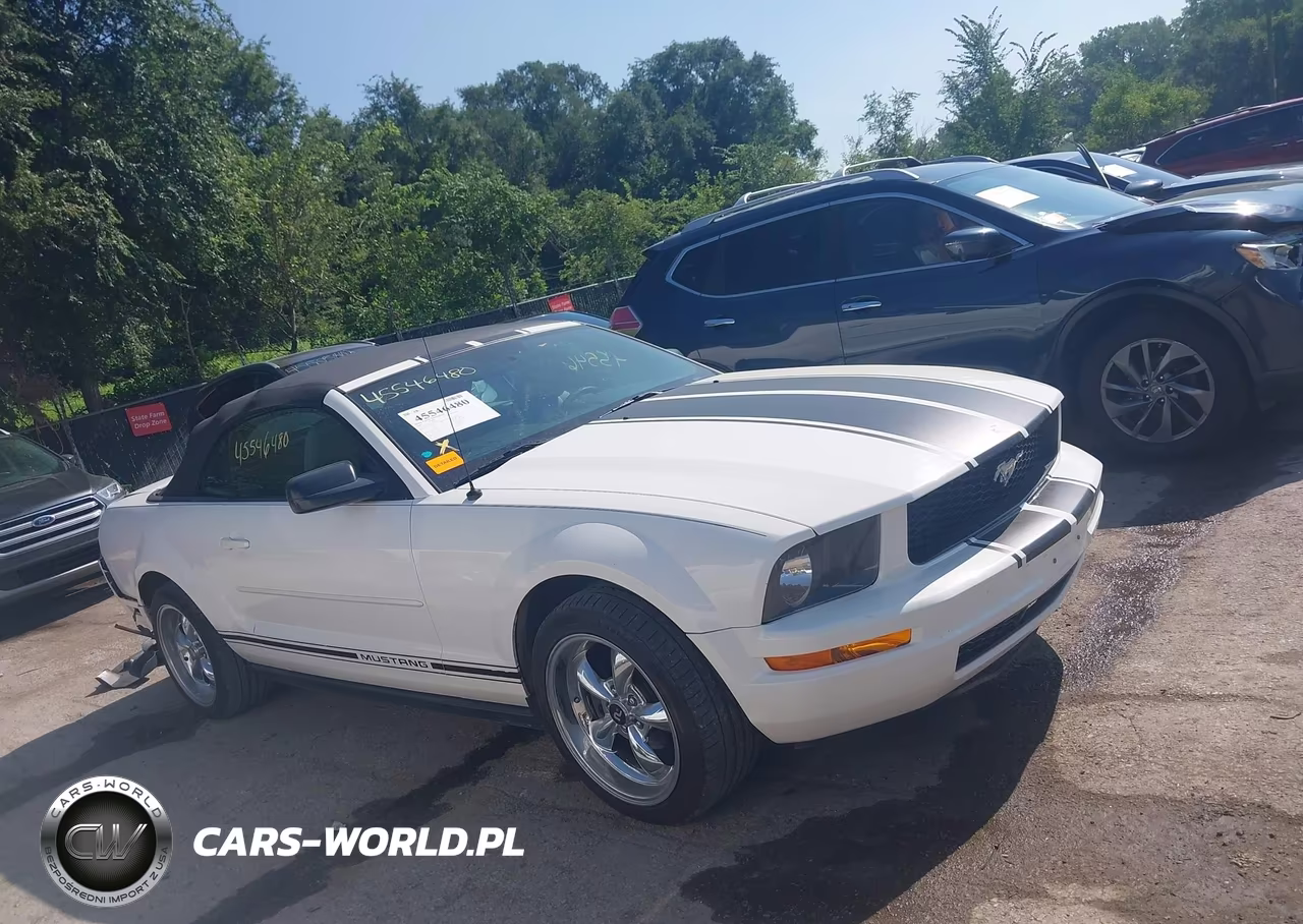 2007 Ford Mustang V6 Deluxe-V6 Premium VIN:1ZVFT84N175361379 - 14