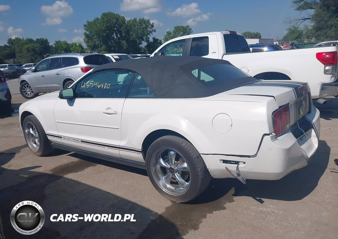 2007 Ford Mustang V6 Deluxe-V6 Premium VIN:1ZVFT84N175361379 - 15
