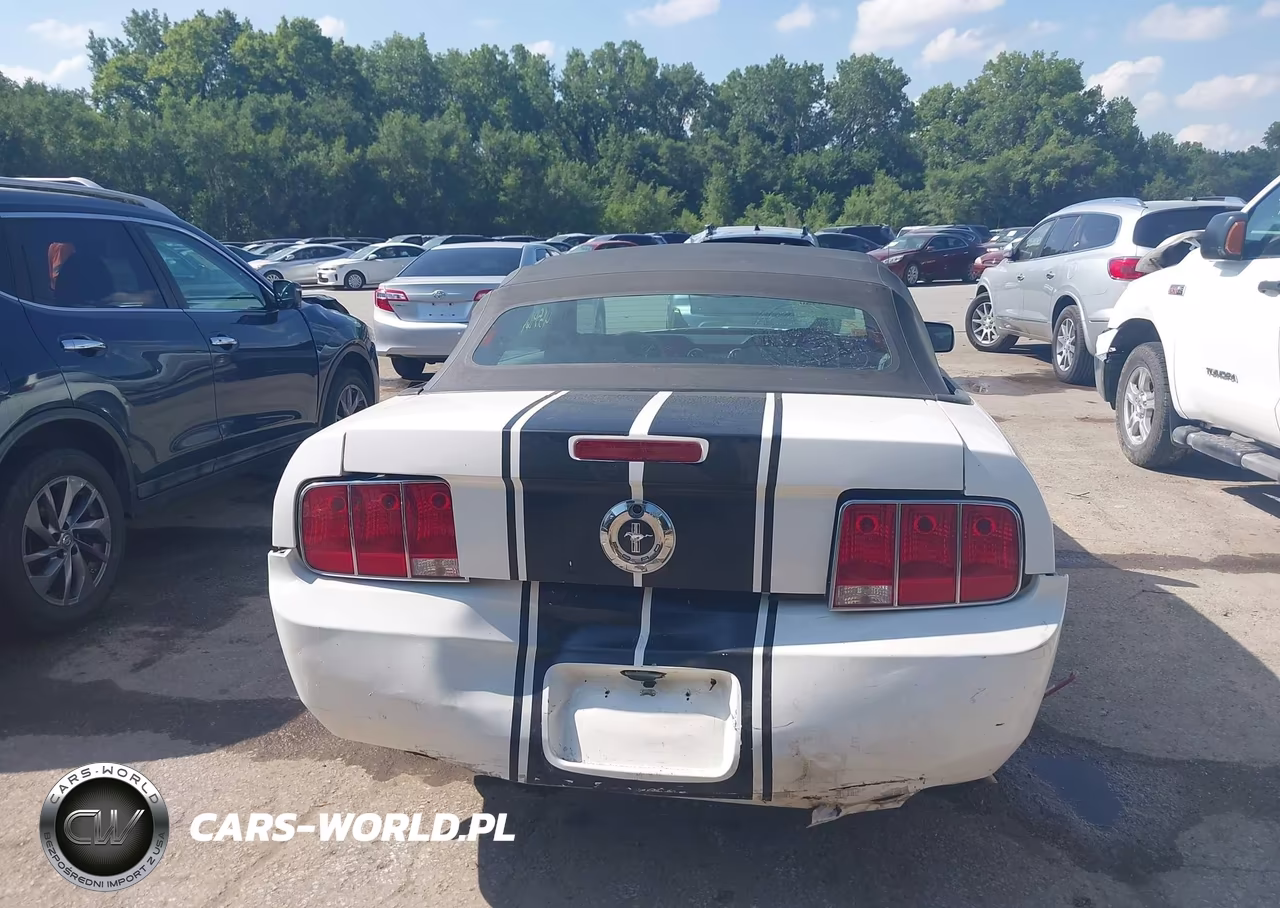 2007 Ford Mustang V6 Deluxe-V6 Premium VIN:1ZVFT84N175361379 - 17