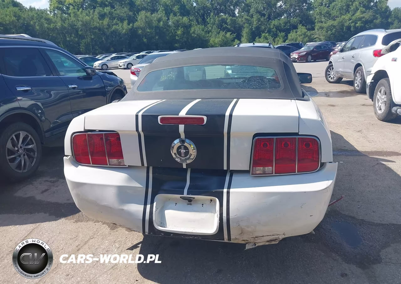 2007 Ford Mustang V6 Deluxe-V6 Premium VIN:1ZVFT84N175361379 - 6