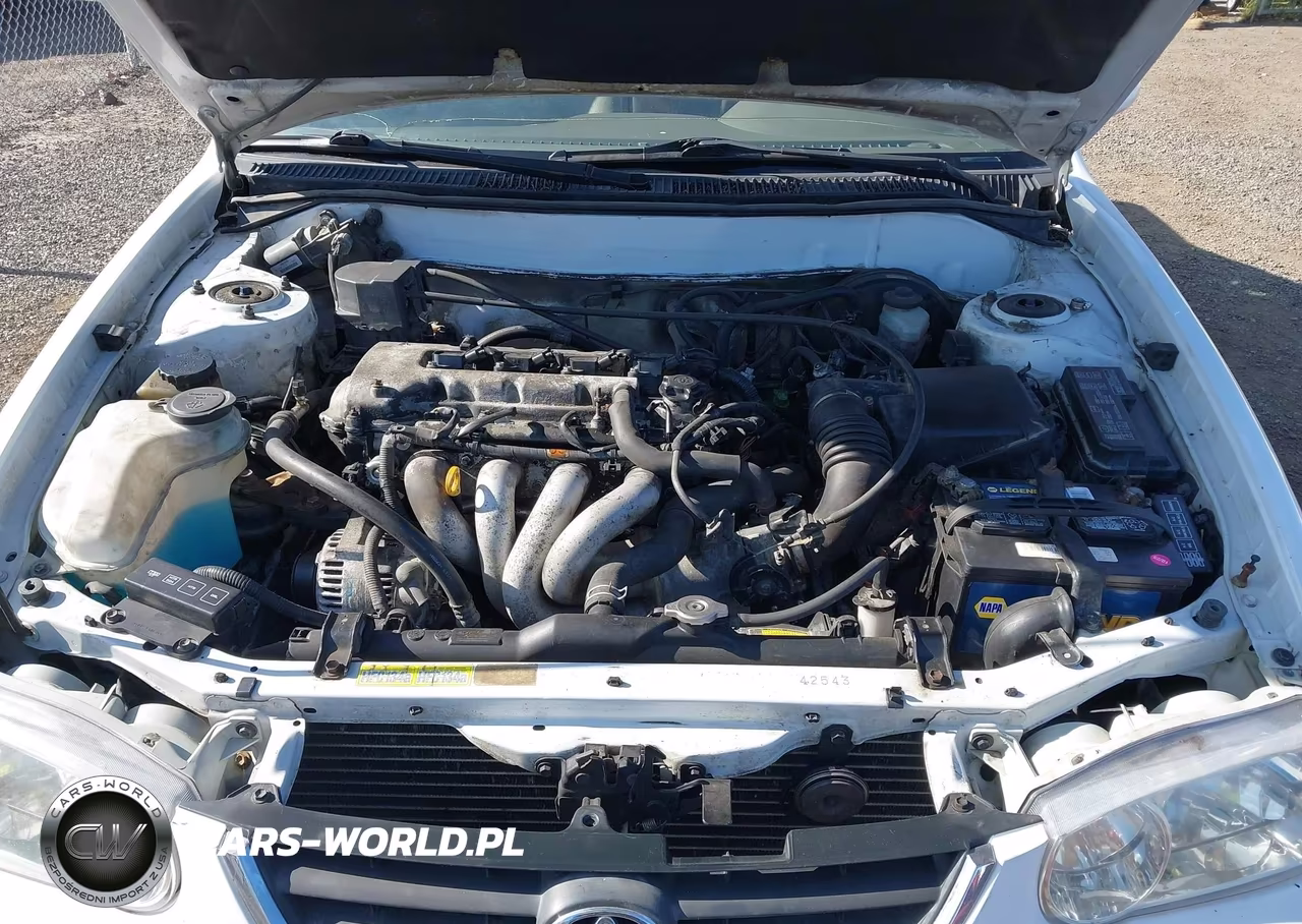 2001 Toyota Corolla Le VIN:1NXBR12E81Z449140 - 10