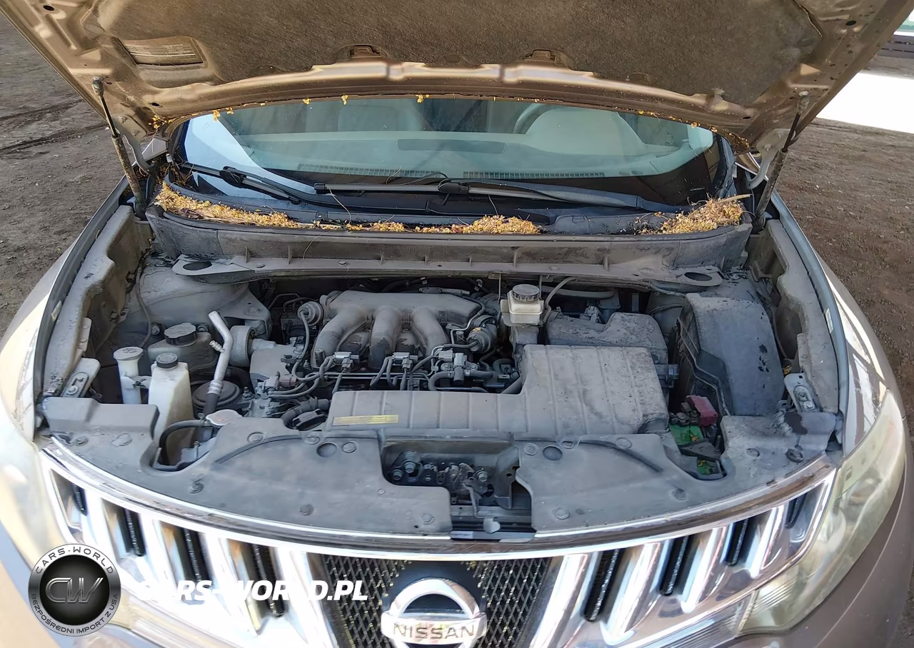 2009 Nissan Murano Sl VIN:JN8AZ18W29W208419 - 10