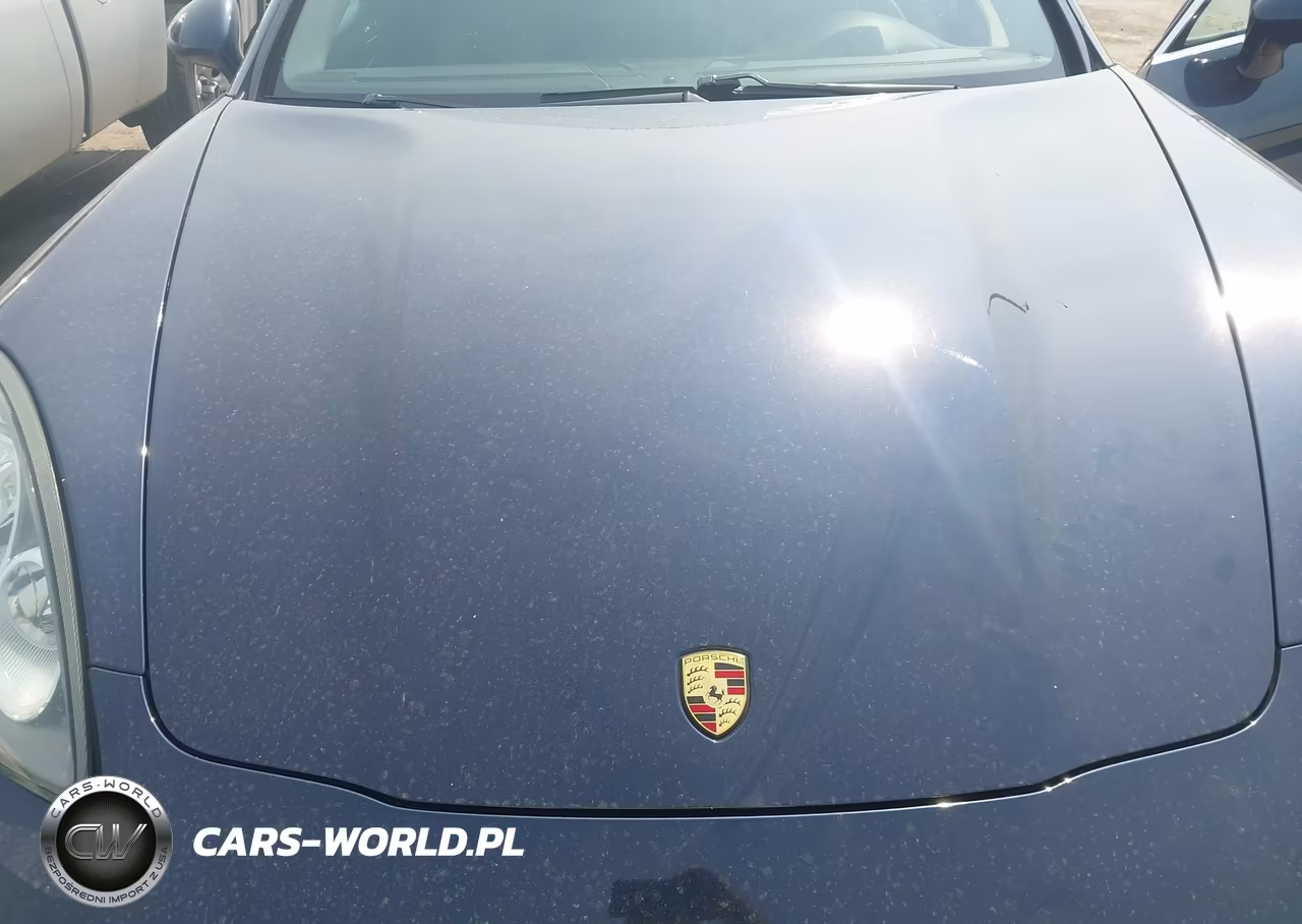 2010 Porsche Panamera 4S VIN:WP0AB2A78AL065135 - 10