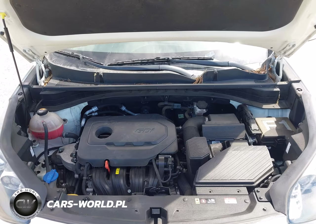 2022 Kia Sportage Lx VIN:KNDPM3AC6N7975825 - 10