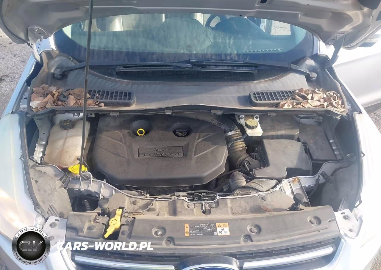 2014 Ford Escape Titanium VIN:1FMCU0J9XEUA79493 - 10