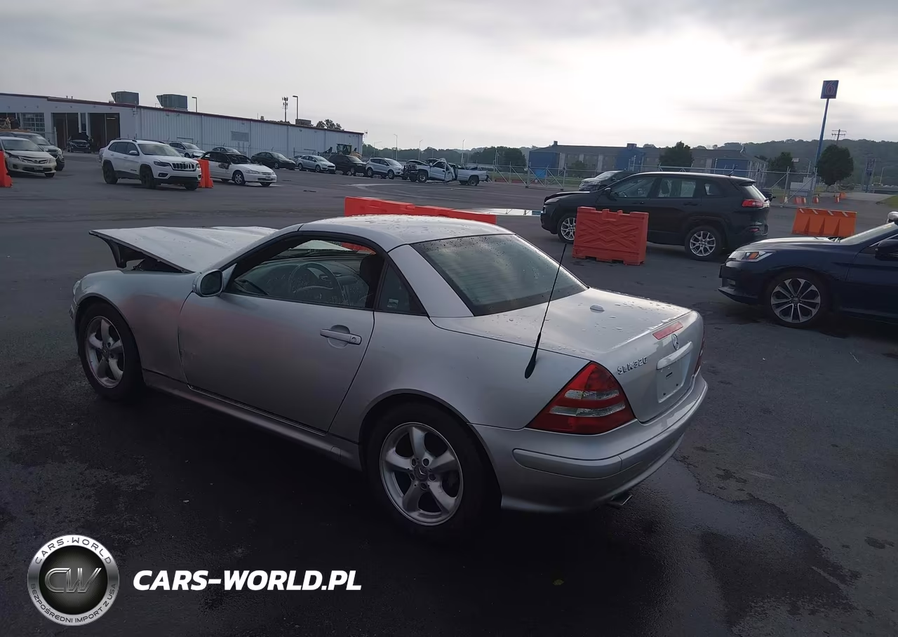 2003 Mercedes-Benz Slk 320 VIN:WDBKK65F83F297604 - 3