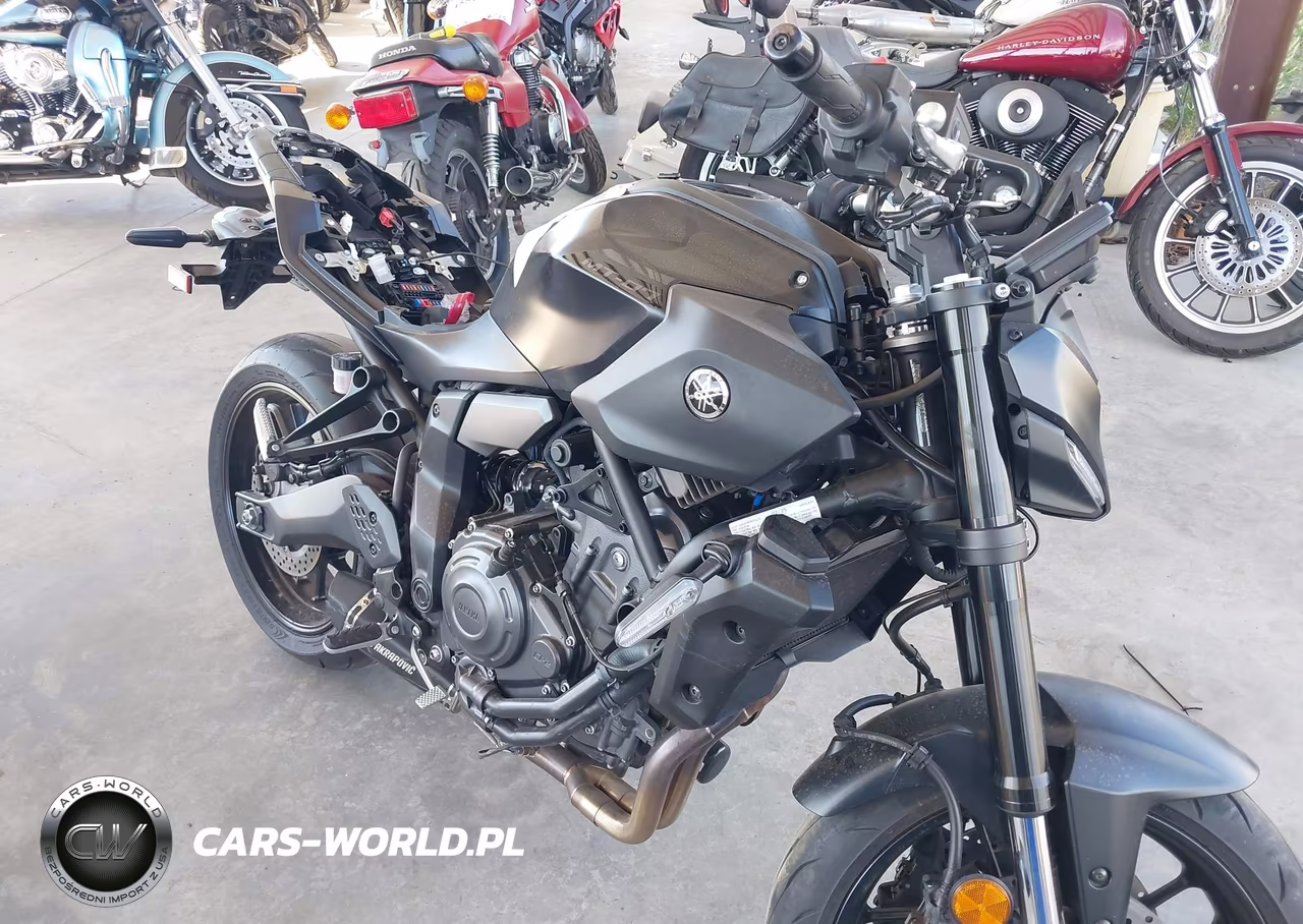 2025 Yamaha Mtn690