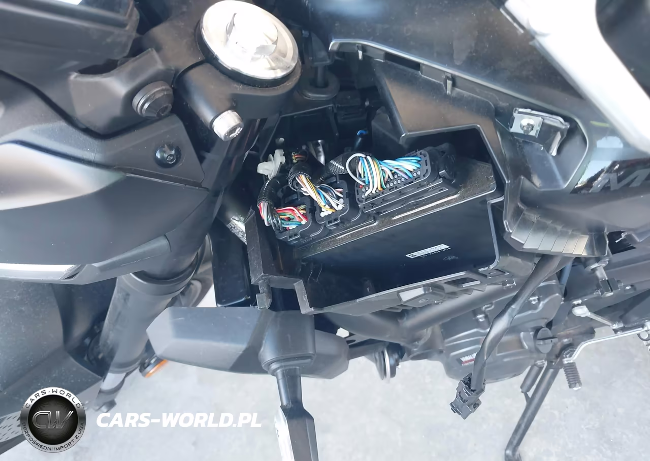 2025 Yamaha Mtn690 VIN:JYARM48EXSA002883 - 17