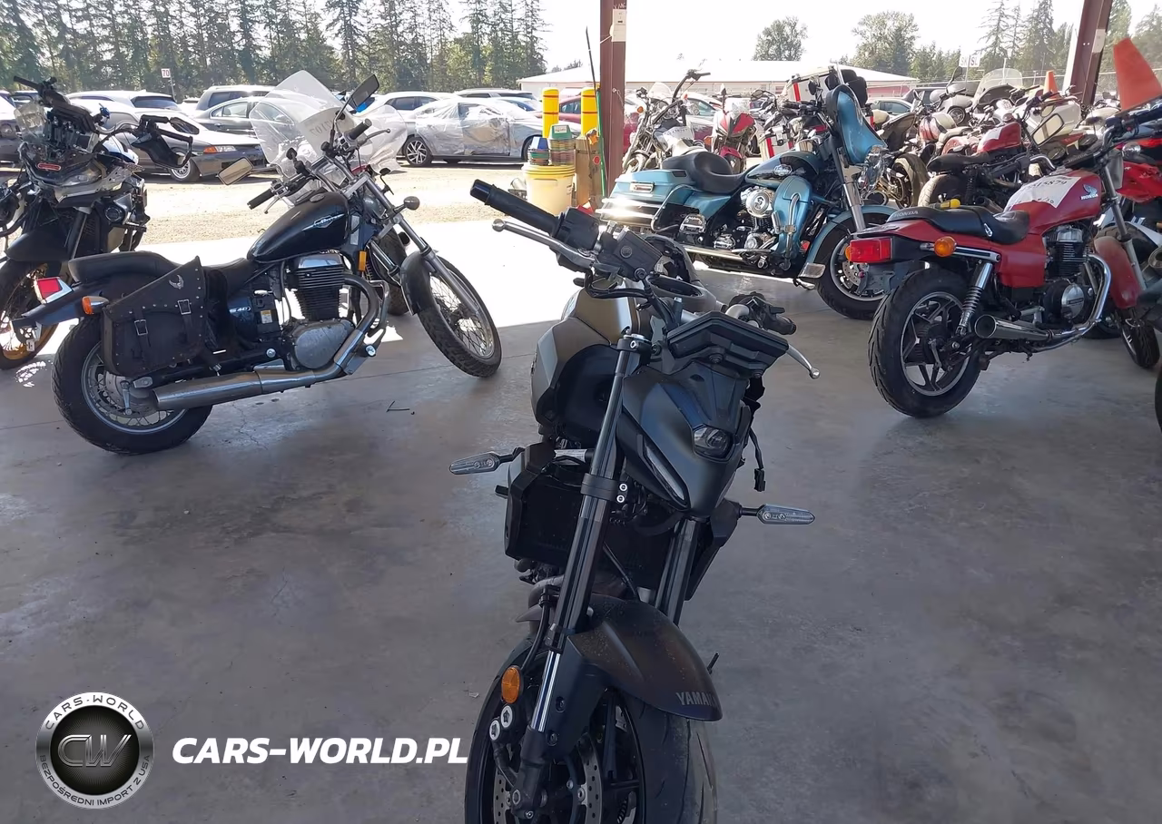 2025 Yamaha Mtn690 VIN:JYARM48EXSA002883 - 5