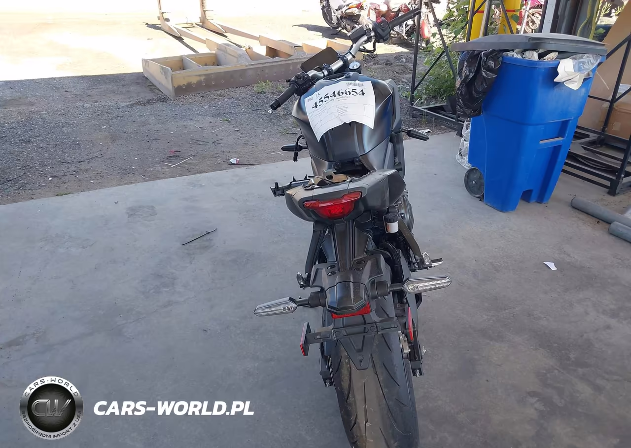 2025 Yamaha Mtn690 VIN:JYARM48EXSA002883 - 6