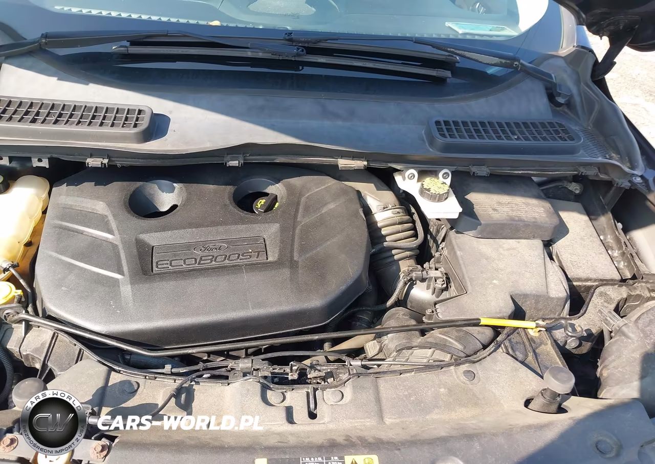 2013 Ford Escape Sel VIN:1FMCU9H99DUB59179 - 10