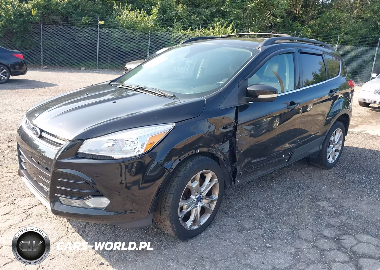 2013 Ford Escape Sel VIN:1FMCU9H99DUB59179 - 2