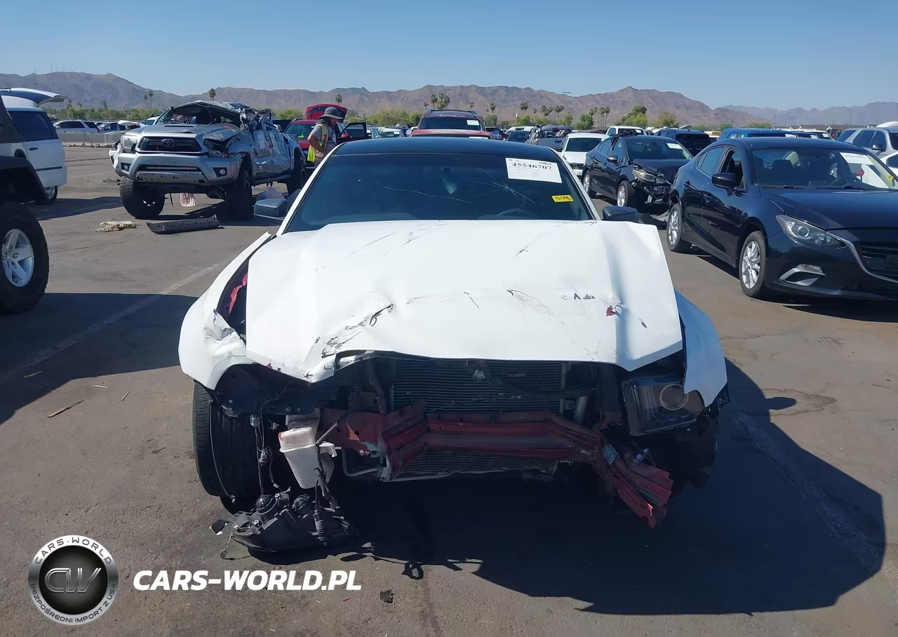 2013 Ford Mustang V6-V6 Premium VIN:1ZVBP8AM0D5244886 - 12