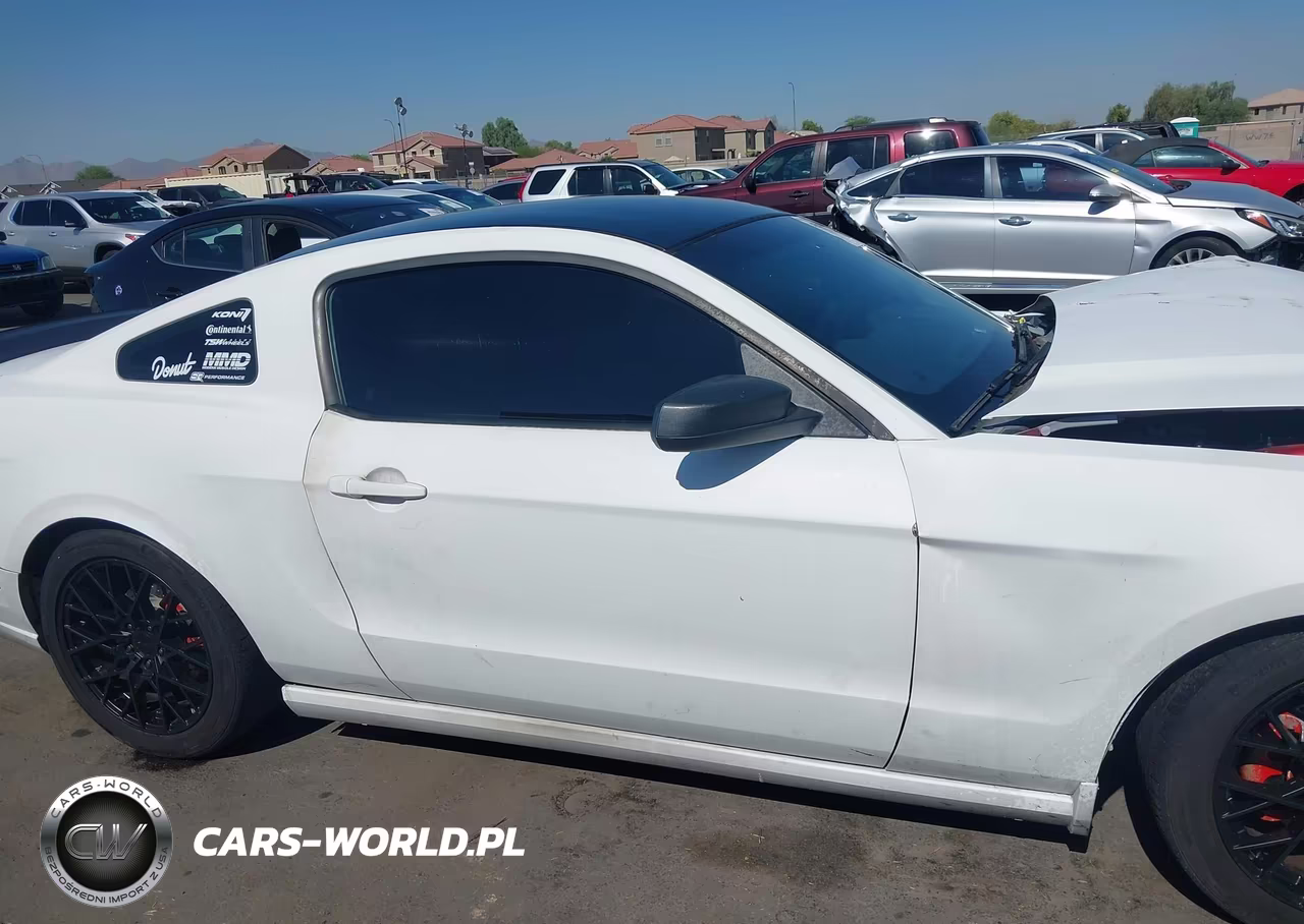 2013 Ford Mustang V6-V6 Premium VIN:1ZVBP8AM0D5244886 - 13