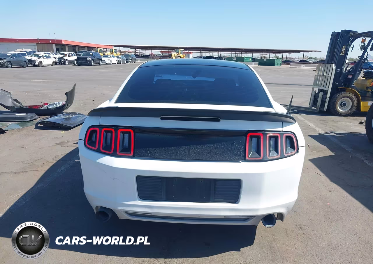 2013 Ford Mustang V6-V6 Premium VIN:1ZVBP8AM0D5244886 - 16