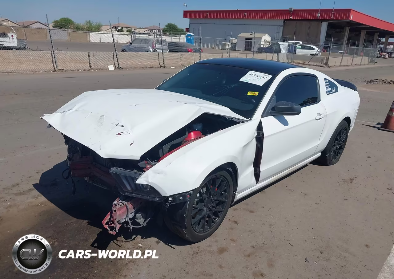 2013 Ford Mustang V6-V6 Premium VIN:1ZVBP8AM0D5244886 - 2