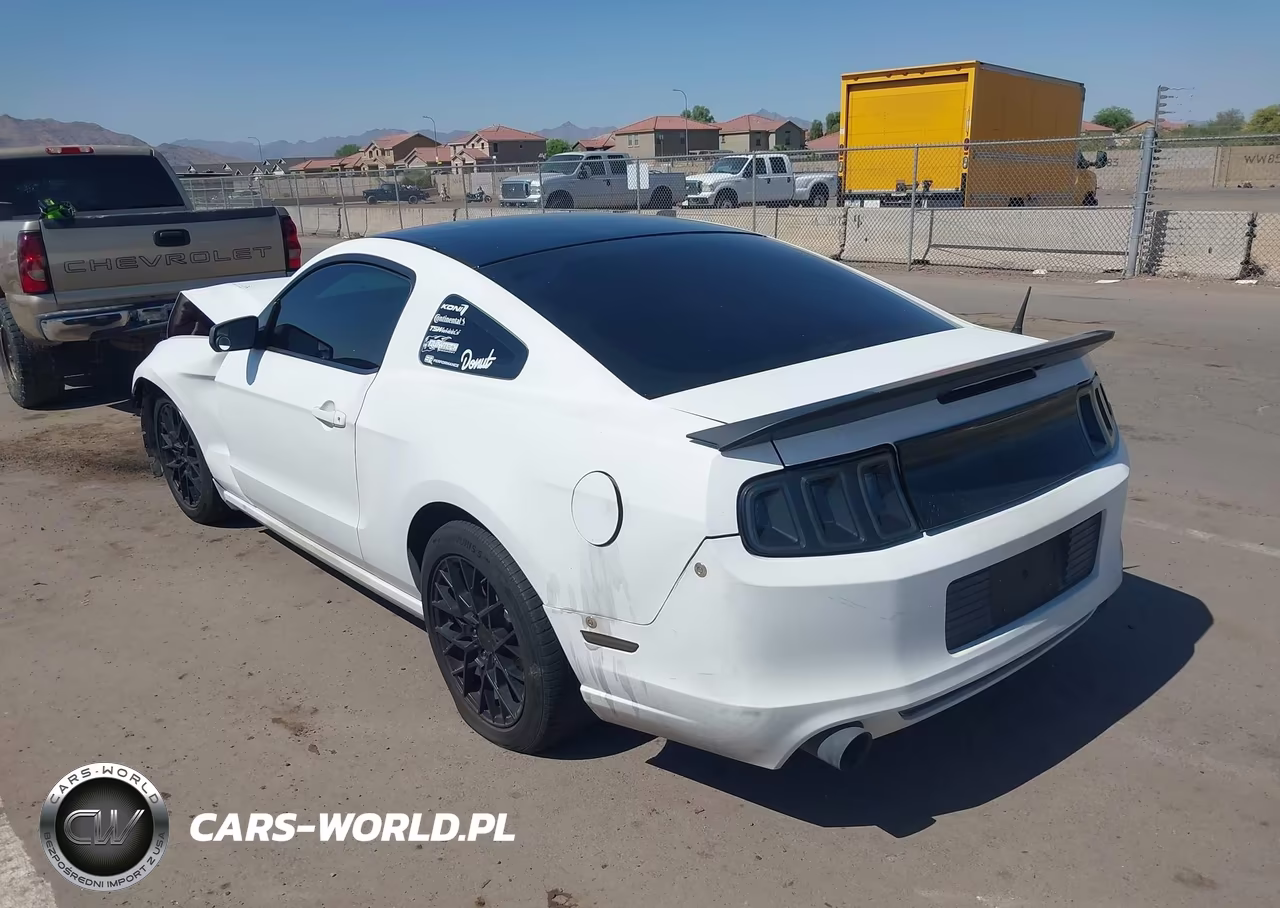 2013 Ford Mustang V6-V6 Premium VIN:1ZVBP8AM0D5244886 - 3