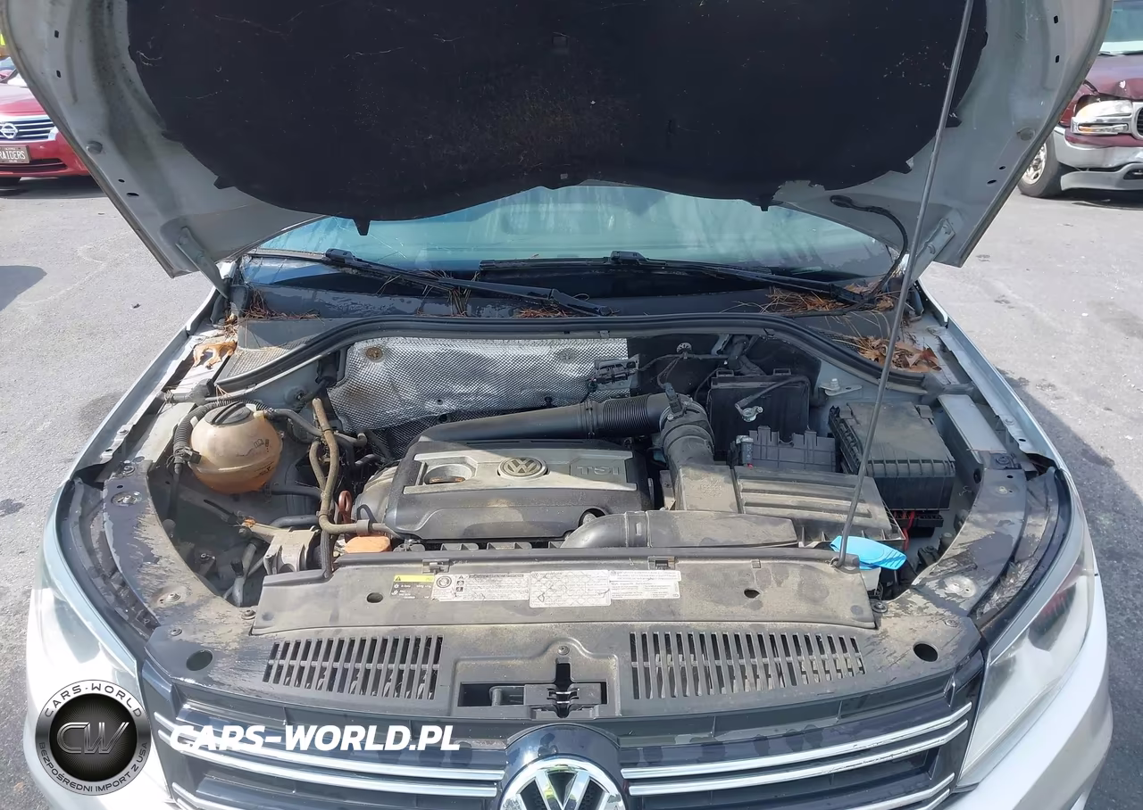 2013 Volkswagen Tiguan S VIN:WVGBV3AXXDW598183 - 10