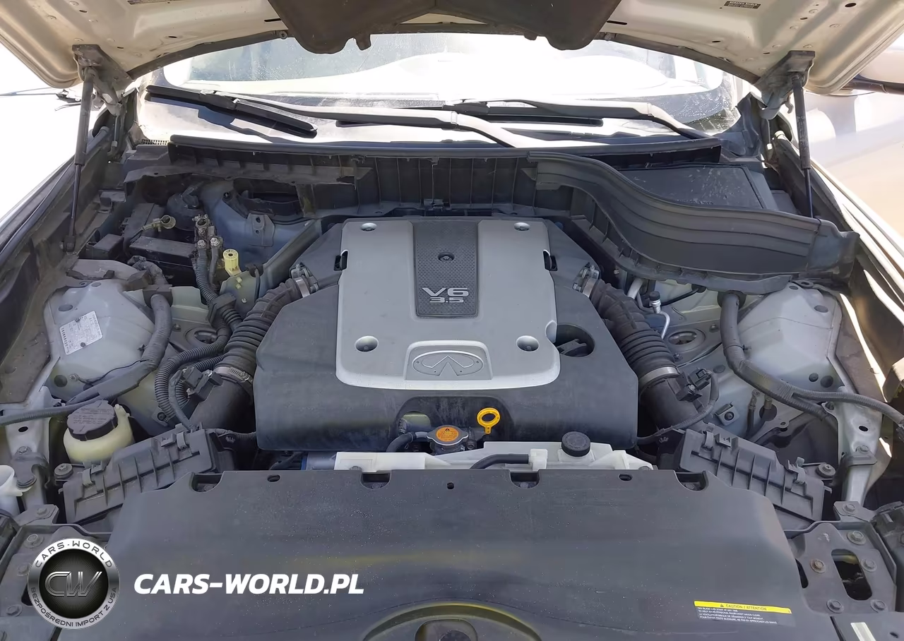 2008 Infiniti Ex35 Journey VIN:JNKAJ09E38M305317 - 10