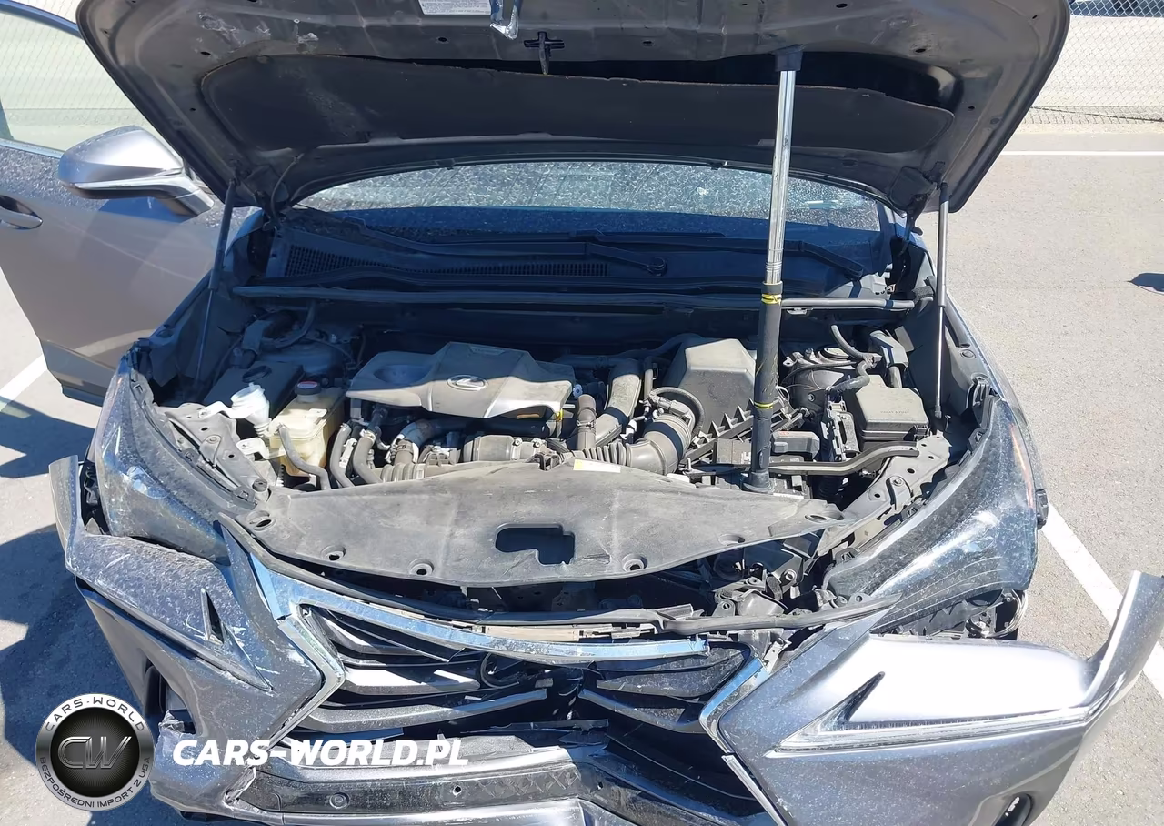 2016 Lexus Nx 200T VIN:JTJYARBZXG2031512 - 10