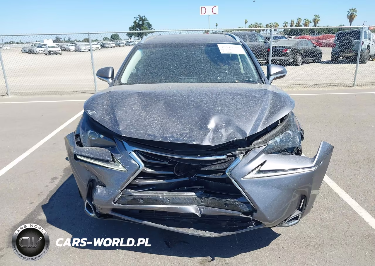 2016 Lexus Nx 200T VIN:JTJYARBZXG2031512 - 12